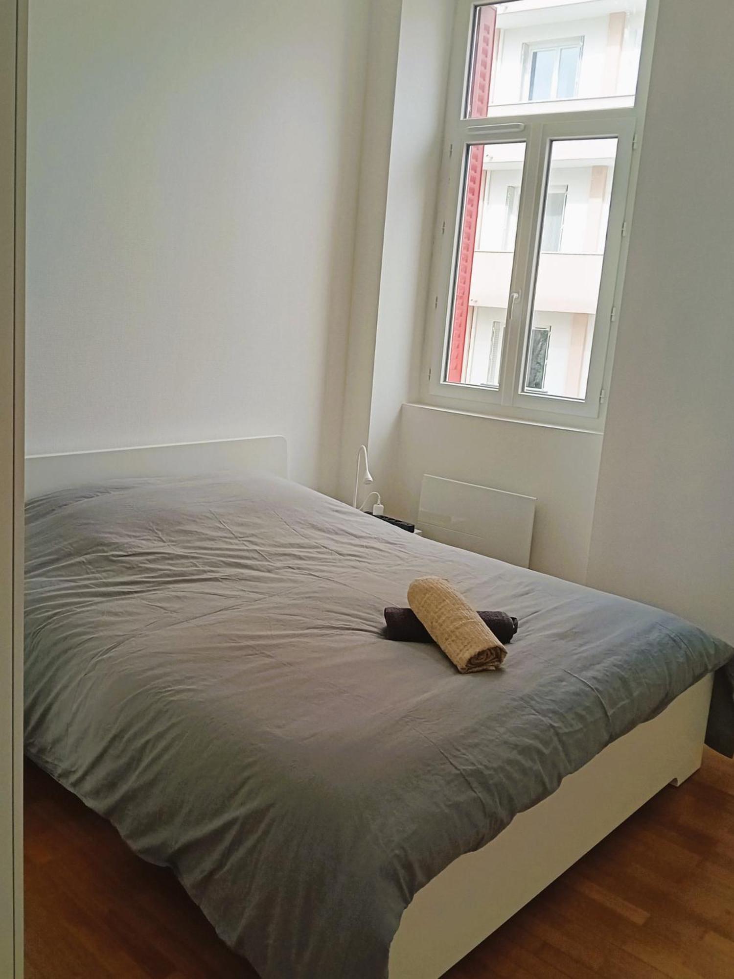 101 - Appart Renove Avec 1 Chambre Spacieuse - Tram Et Clinique Mutualiste A 1 Min Grenoble Exterior photo